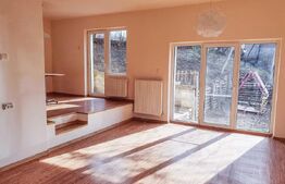 Casa de 3 camere, 120mp, zona Copou