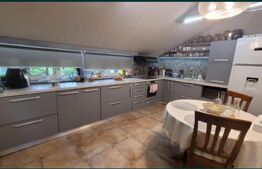 Vila spatioasa cu 8 dormitoare, 240 mp, zona Copou