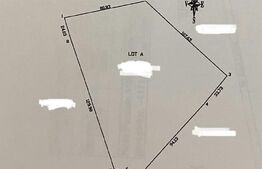 Teren extravilan 1,5ha Dobrovat Iasi