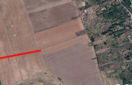 Teren agricol 5400mp Dobrovat iasi