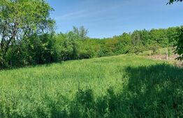 Teren intravilan 7000 mp, deschidere 35 mp,com Schitu-Duca