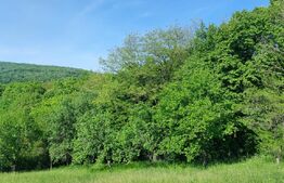 Teren intravilan 7000 mp, deschidere 35 mp,com Schitu-Duca