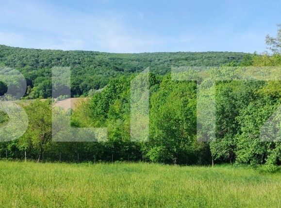 Teren de vânzare Exterior Sud - 164709TV | BLITZ Iași | Poza2