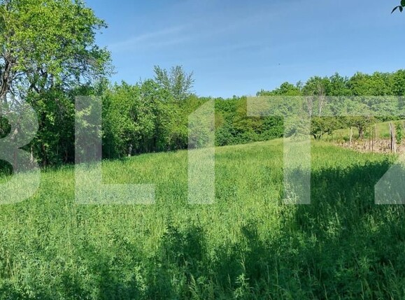 Teren de vânzare Exterior Sud - 164709TV | BLITZ Iași | Poza3