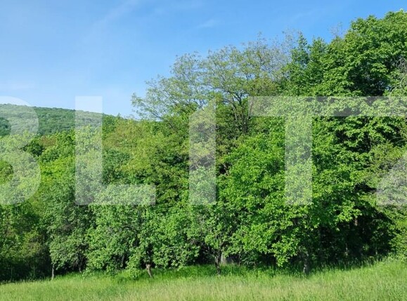 Teren de vânzare Exterior Sud - 164709TV | BLITZ Iași | Poza1