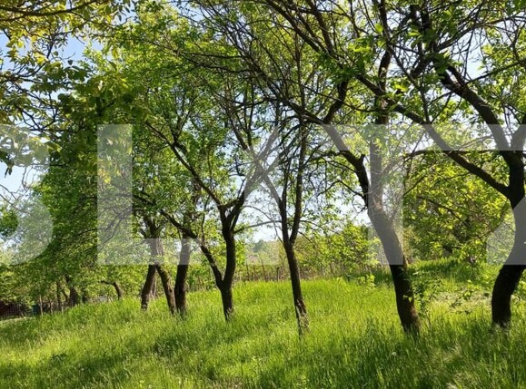 Teren de vânzare Exterior Sud - 164709TV | BLITZ Iași | Poza5