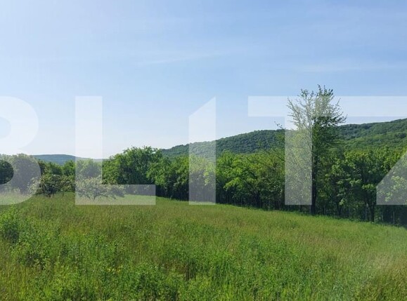 Teren de vânzare Exterior Sud - 164709TV | BLITZ Iași | Poza4