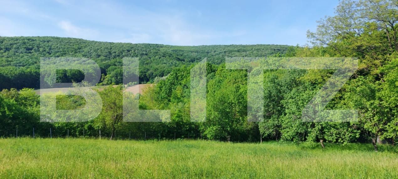 Teren de vânzare Exterior Sud - 164709TV | BLITZ Iași | Poza2