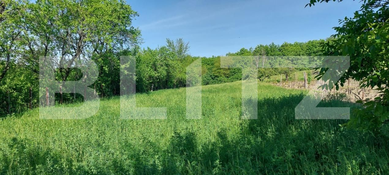 Teren de vânzare Exterior Sud - 164709TV | BLITZ Iași | Poza3