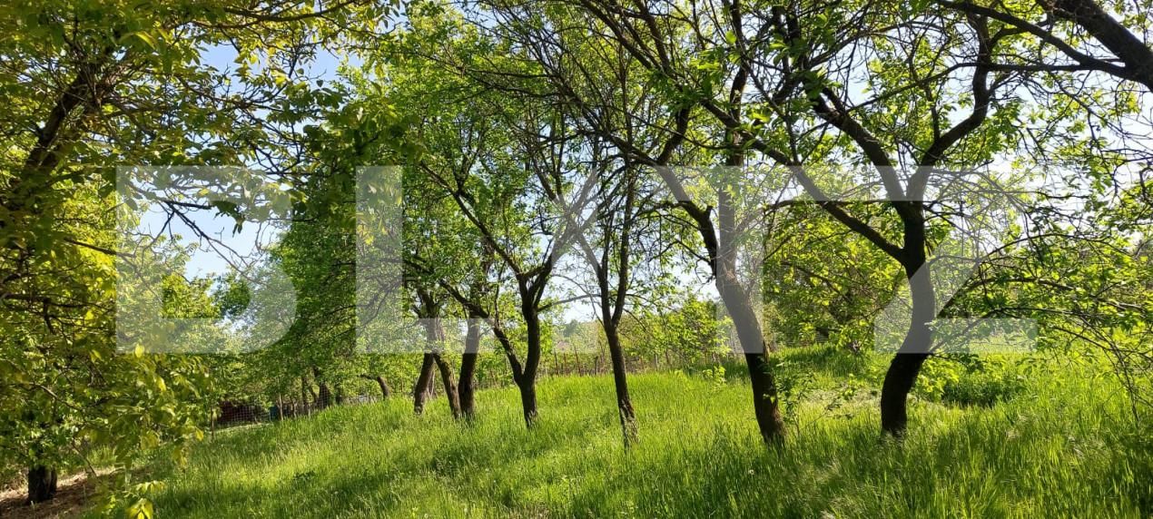 Teren de vânzare Exterior Sud - 164709TV | BLITZ Iași | Poza5