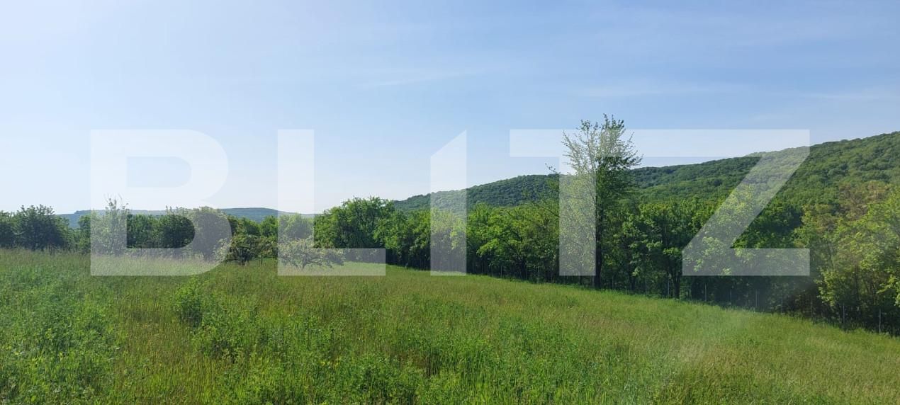 Teren de vânzare Exterior Sud - 164709TV | BLITZ Iași | Poza4