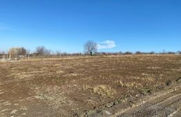 Teren Intravilan de 570 mp în Visan Iasi - Ideal pentru Casa