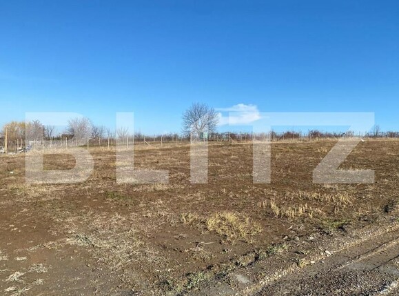 Teren de vânzare Visan - 164728TV | BLITZ Iași | Poza1