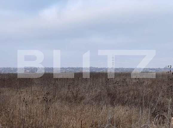 Teren de vânzare Zona industriala - 165475TV | BLITZ Iași | Poza1