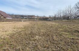 Teren Intravilan 3340 mp în Dancas, Iasi