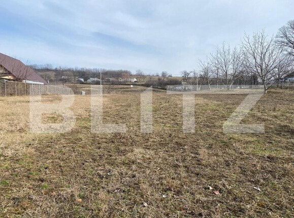 Teren de vânzare Miroslava - 165667TV | BLITZ Iași | Poza2