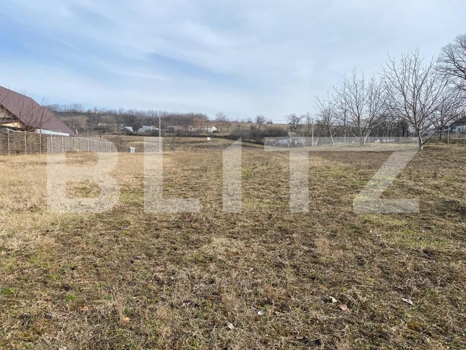 Teren de vânzare Miroslava - 165667TV | BLITZ Iași | Poza2