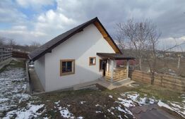 Casa plan parter Ciurbesti-Miroslava, 420 mp teren