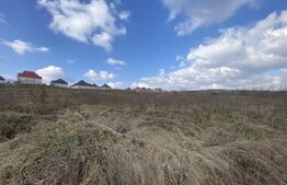 Oportunitate: Teren Intravilan Ciurea, Iași - 5400 mp