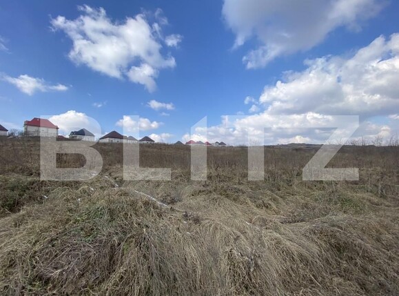 Teren de vânzare Ciurea - 166059TV | BLITZ Iași | Poza1