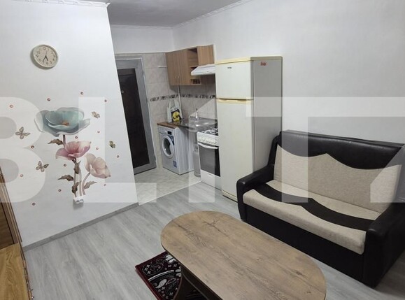 Garsonieră de vânzare Frumoasa - 166337AV | BLITZ Iași | Poza2