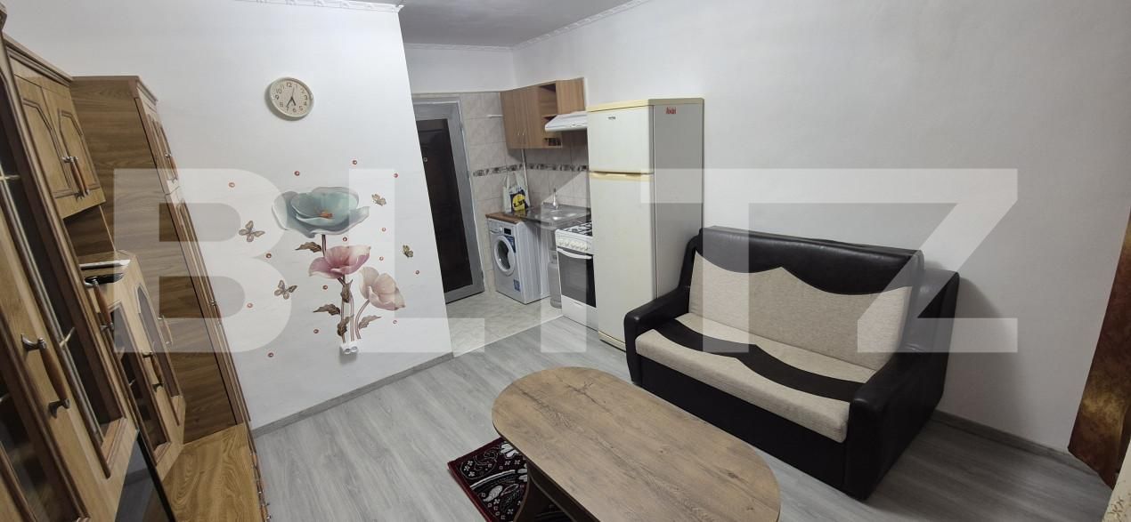 Garsonieră de vânzare Frumoasa - 166337AV | BLITZ Iași | Poza2