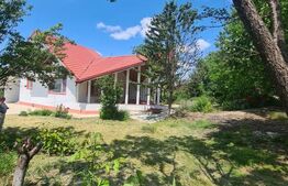 Casa Rediu, Horlesti 150 mp, 1200 mp teren