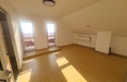 Casa Rediu, Horlesti 150 mp, 1200 mp teren