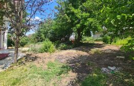 Casa Rediu, Horlesti 150 mp, 1200 mp teren