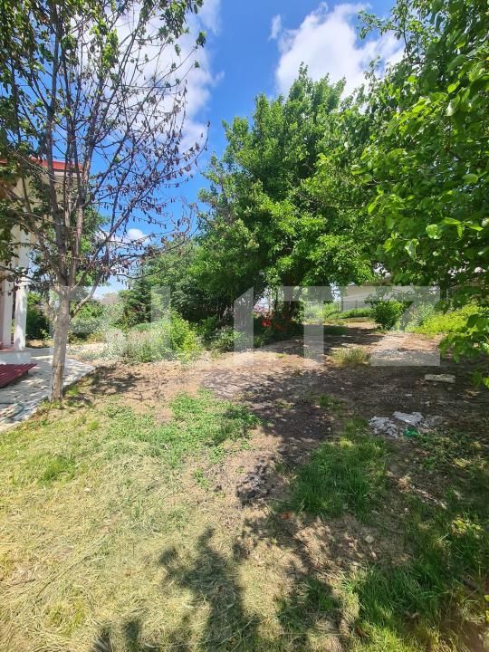 Casa de vânzare 6 camere Rediu - 166553CV | BLITZ Iași | Poza4