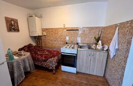 Apartament la casa, cu gradina, 3 camere, 2 bai, 70 mp, zona Sararie-IRO