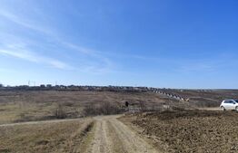 Teren 4500 mp intravilan, Valea Lupului