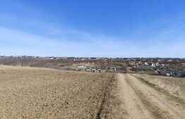 Teren 4500 mp intravilan, Valea Lupului