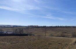 Teren intravilan 350 mp Valea Lupului