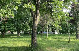 Cladire deosebita 550 mp, Popesti