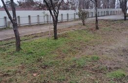 Cladire deosebita 550 mp, Popesti