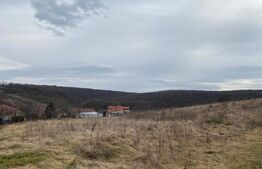 Teren pentru casă 800mp în Uricani, aproape de pădure