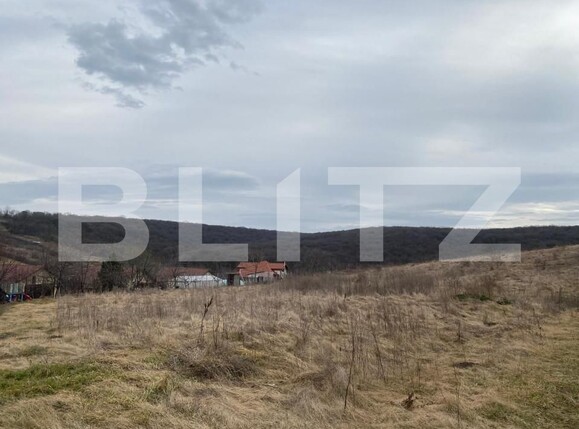 Teren de vânzare Uricani - 167170TV | BLITZ Iași | Poza1