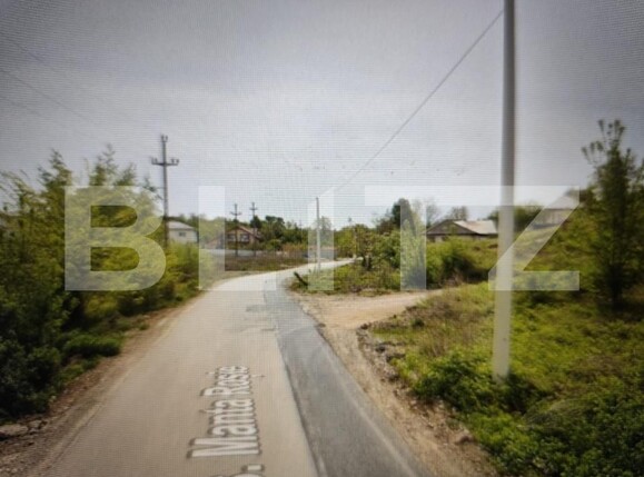 Teren de vânzare Sud - 167479TV | BLITZ Iași | Poza1