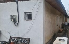 Casa Palas Campus, 3 camere, 107 mp, 216 mp teren, ultracentral