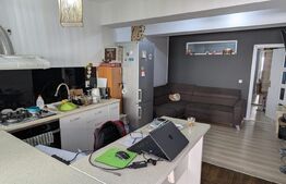 Apartament cu 2 camere, 34 mp și terasă cu grădină, în Breazu