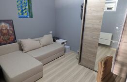 Apartament cu 2 camere, 34 mp și terasă cu grădină, în Breazu