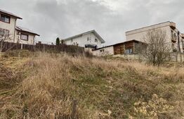 Teren intravilan 500 mp  Hlincea Iasi