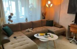 Apartament de 2 camere, etaj intermediar, 42 mp, zona Pacurari 