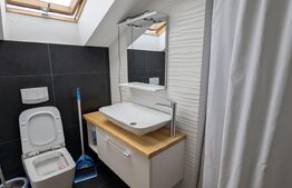 Apartament cu 3 camere, 55 mp, zona Valea Lupului