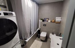 Casa 4 camere, 550 mp teren, Valea Lupului