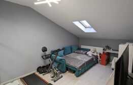 Apartament cu 3 camere, decomandat, 66 mp, Valea Lupului