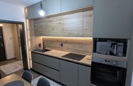 Apartament cu 2 camere, decomandat, 56 mp, Valea Lupului