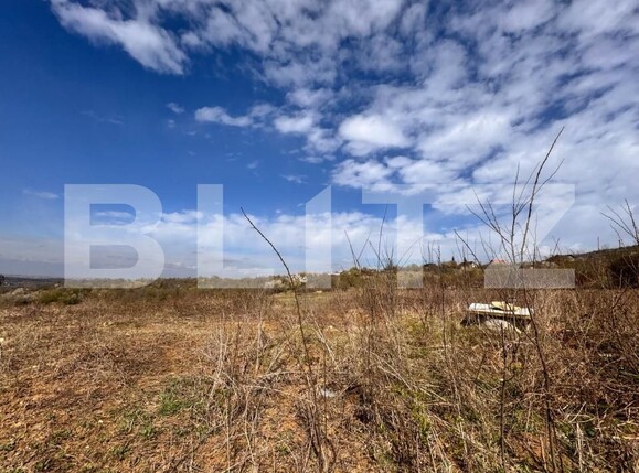 Teren de vânzare Barnova  - 168377TV | BLITZ Iași | Poza2