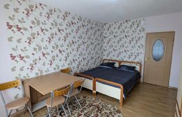 Apartament cu 1 camera, 26 mp, zona Gara Internațională